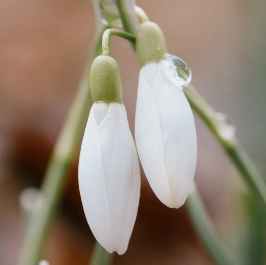 Spring Is Here. Do You Care?