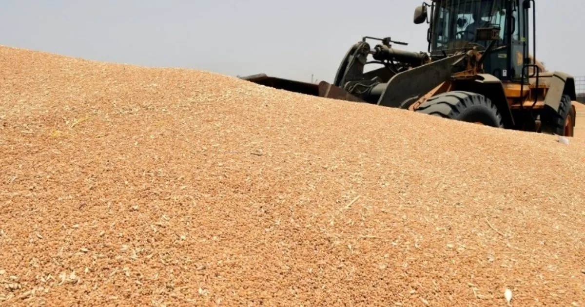 UK’s food supply risks 'catastrophic failure’: comment - Energy & Climate Intelligence Unit | ECIU