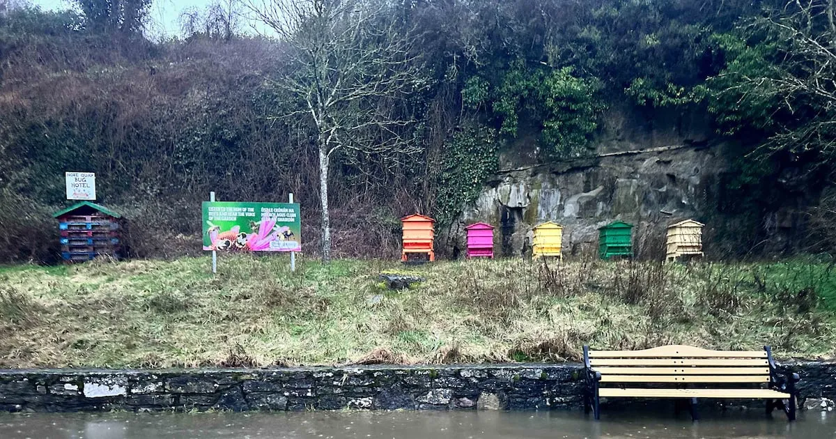 The Irish Times view on the latest Irish climate change review: a powerful, troubling picture - The Irish Times